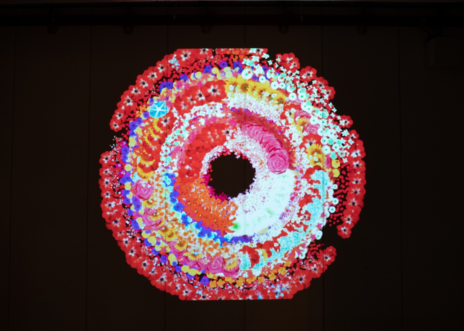 演奏の花の作品写真。赤やピンク、青、白などの花が円を描く映像を、暗い空間の壁面に投影している